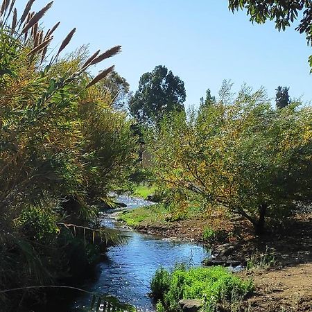 Villa By The River Facing The Hermon In 达夫纳 外观 照片
