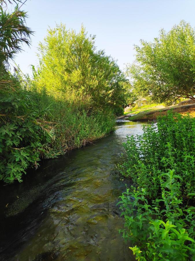 Villa By The River Facing The Hermon In 达夫纳 外观 照片