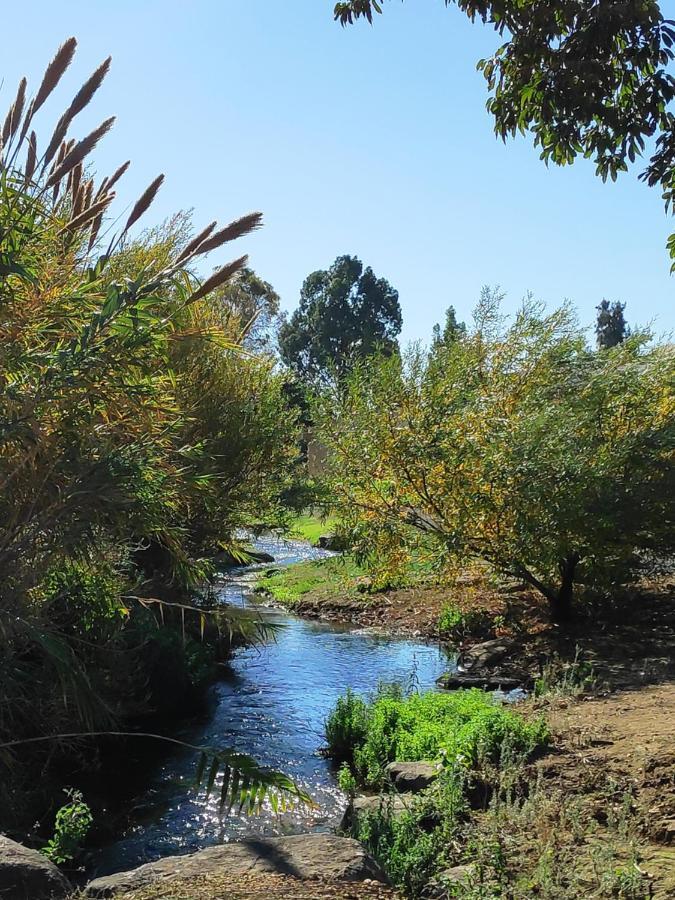 Villa By The River Facing The Hermon In 达夫纳 外观 照片